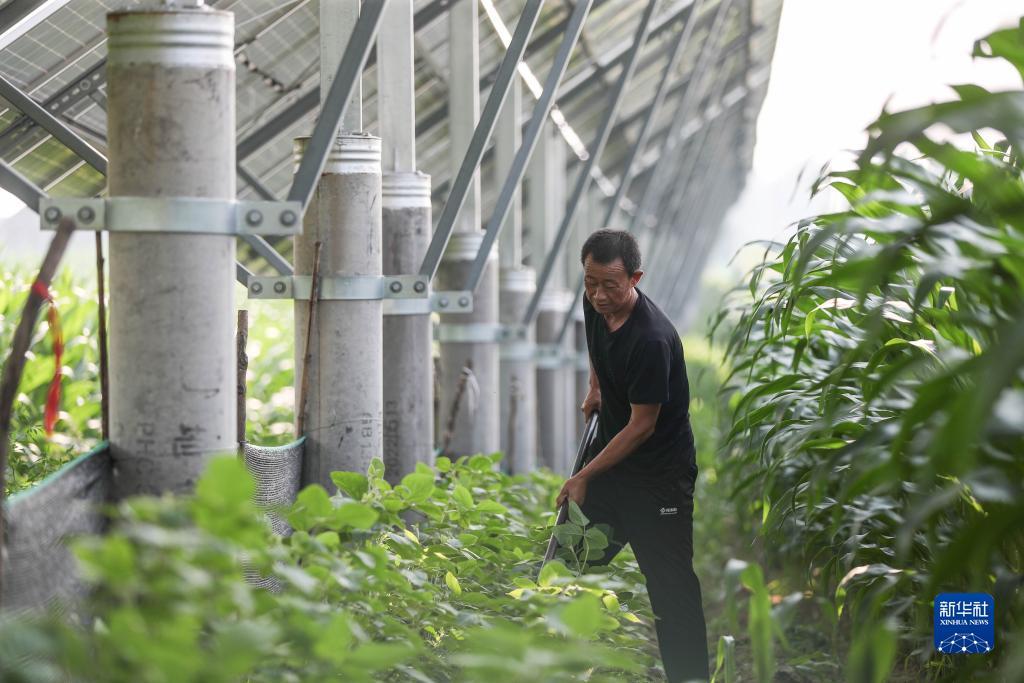 杭州 永利